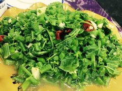 -白家寨子·山野白族菜(古城总店)