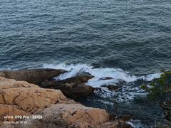 -小麦岛公园