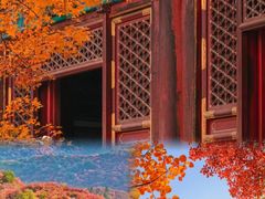 -香山公园