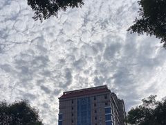 -王府半岛酒店