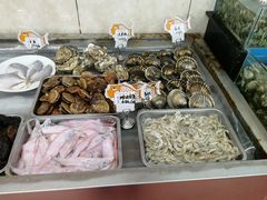 -渔民船说·北塘海鲜·天津菜·海肠捞饭(北塘古镇店)
