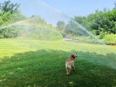 -渭河城市绿地运动公园