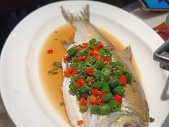 -绿茶餐厅(华发商都店)