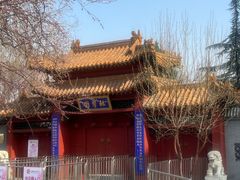 -桃花堤公园