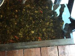 -颐和•海鲜砂锅粥•啫啫煲(奥林匹克广场店)