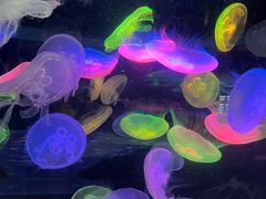 -太平洋海底世界