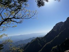 -王顺山国家森林公园