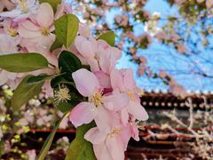 景点-潭柘寺景区