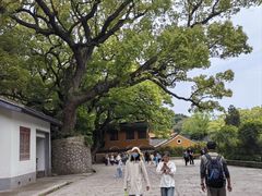 -普陀山风景名胜区-法雨禅寺