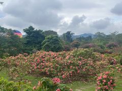 -中国科学院西双版纳热带植物园