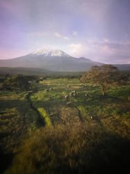 -翱翔飞越地平线