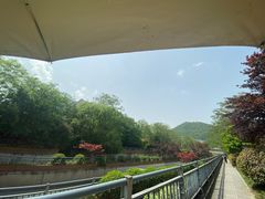 -姐妹面馆(水澄路店)