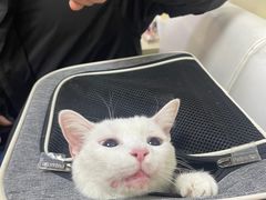 -美联众合动物医院·24h转诊中心