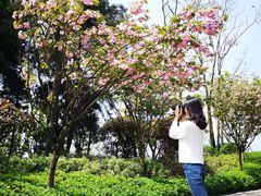 -铁山坪森林公园