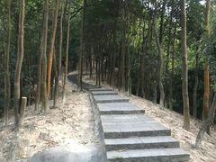 -火炉山森林公园