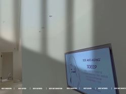 -紫御国际抗衰ZOE ANTI AGING