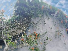 -乌山风景区