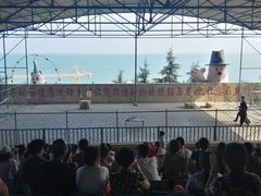 -东方熊牧场