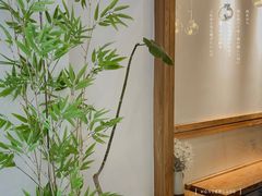 -王守财小山園
