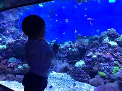 -成都浩海立方海洋公园