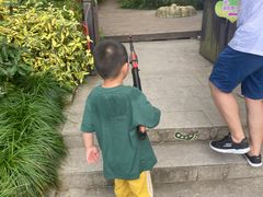 -杭州少年儿童公园