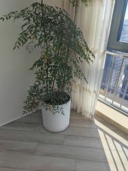 -HEYAN荷妍专业脱毛连锁机构