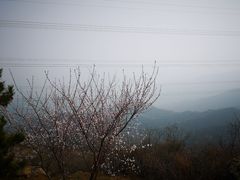 -北京鹫峰国家森林公园