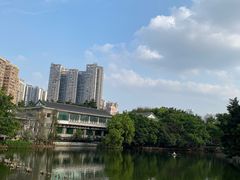 -荔湾湖公园