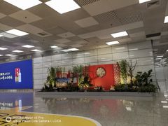 -郑州新郑国际机场-T2航站楼