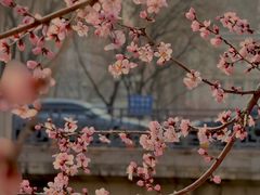 -南长河公园