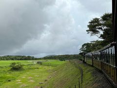 -济州森林小火车生态公园