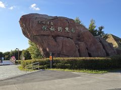 -黑瞎子岛探秘野熊园