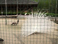 -韶关经律论国际酒店温泉