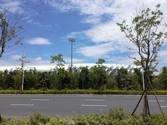 -福建省奥林匹克体育中心-体育馆