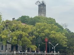 -江心屿景区