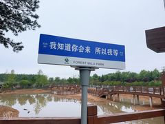 -日照海滨国家森林公园