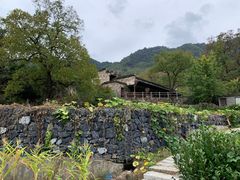 -塔川景区
