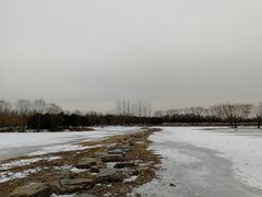 -大兴滨河森林公园