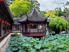 -上海醉白池公园