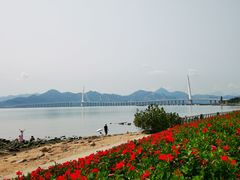 -深圳湾公园(南山区)