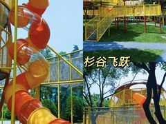 -佛冈森波拉度假区
