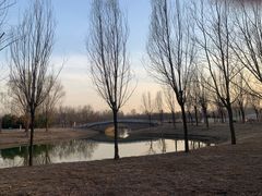 -东郊湿地公园