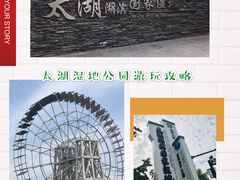 -太湖湖滨国家湿地公园-停车场
