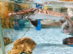 -阿伟海鲜楼·福建菜(延寿店)