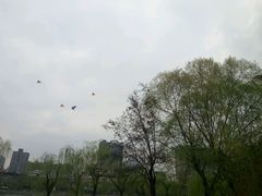 -文瀛公园