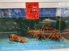 -北塘海鲜·天津菜(大光明桥旗舰店)