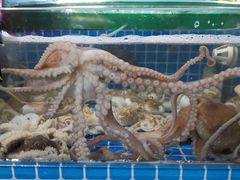 -望海潮海鲜店 特色家常菜(在海一方店)