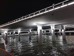 -演武大桥观景平台