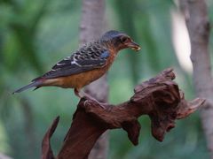 -苏州河梦清园环保主题公园