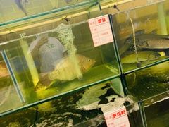-祈胜邨•顺德鱼生•顺德菜(容桂店)